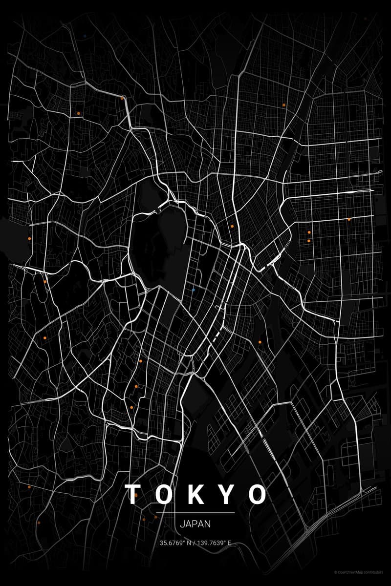 Tokyo Noir map poster preview