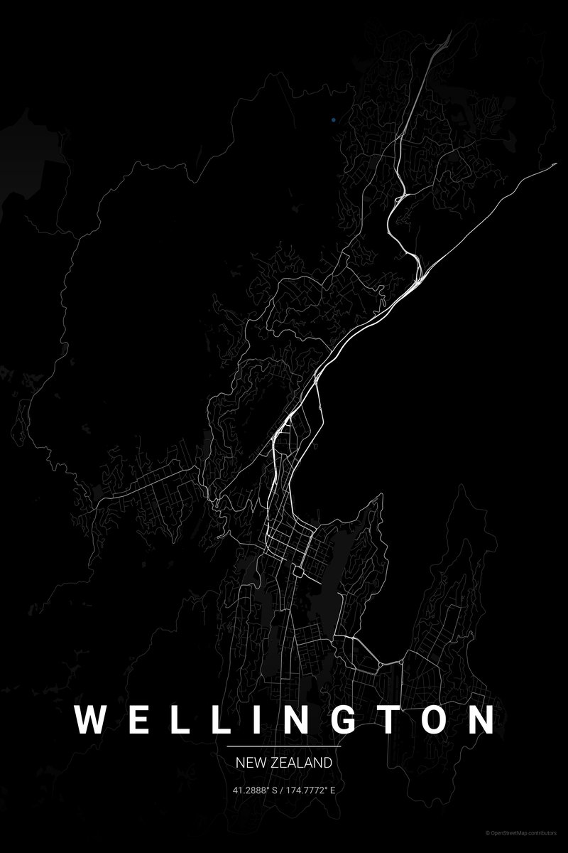 Wellington Noir map poster — print